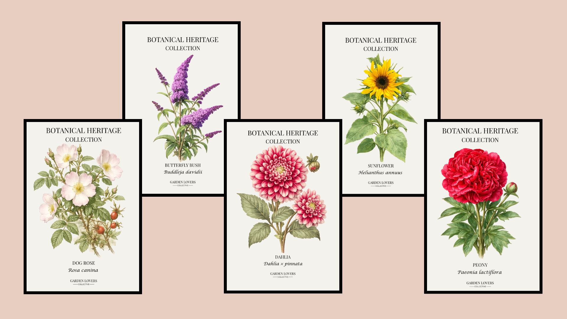 Five Botanical Heritage Collection hardcover notebooks featuring Dog Rose, Butterfly Bush, Dahlia, Sunflower and Peony botanical illustrations by Garden Lovers Collective.
