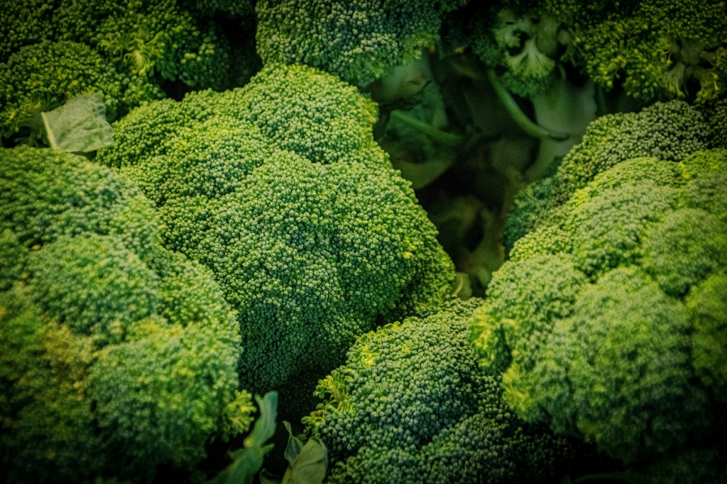 Broccoli heads closeup