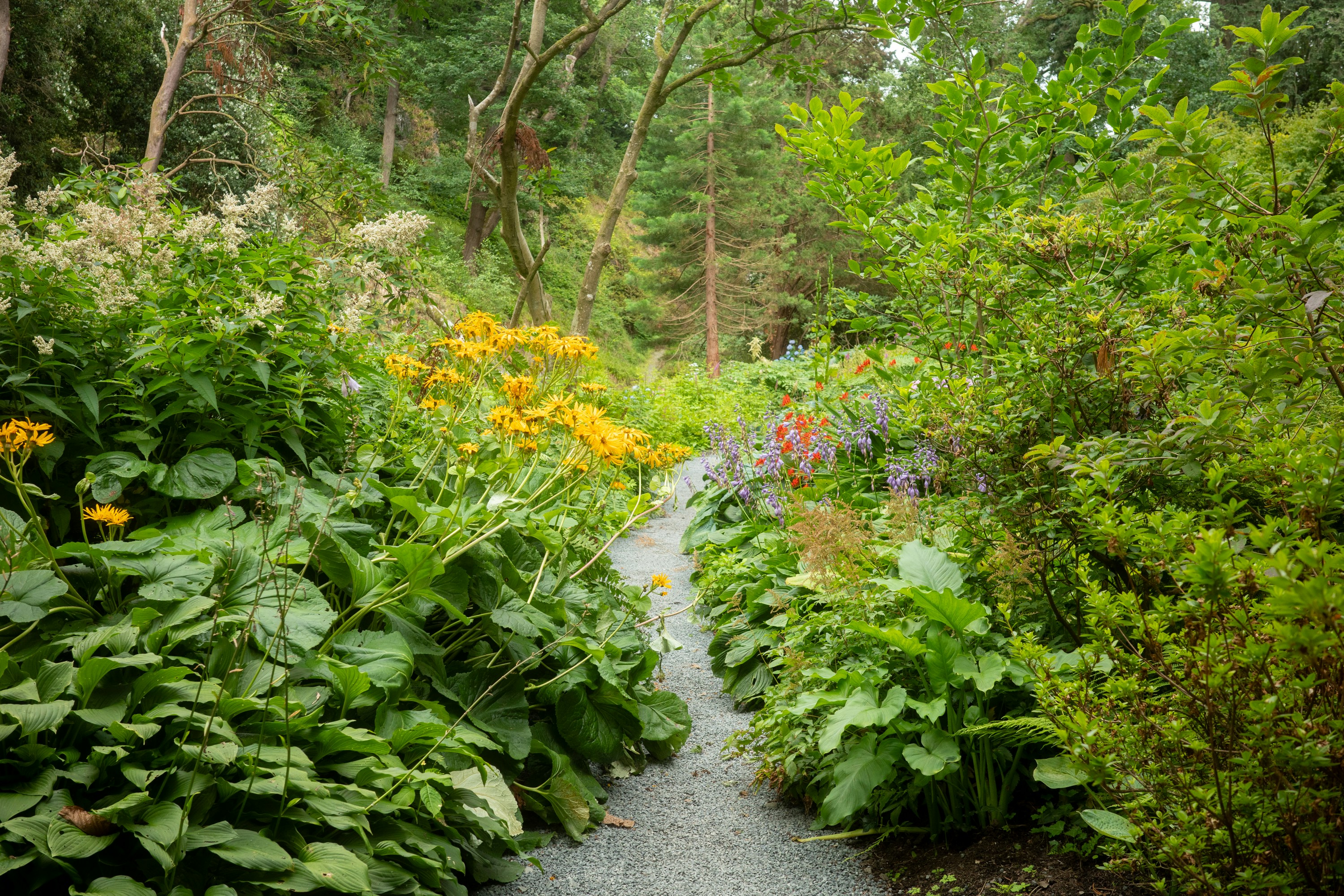 Why Gardens Matter More Than Ever