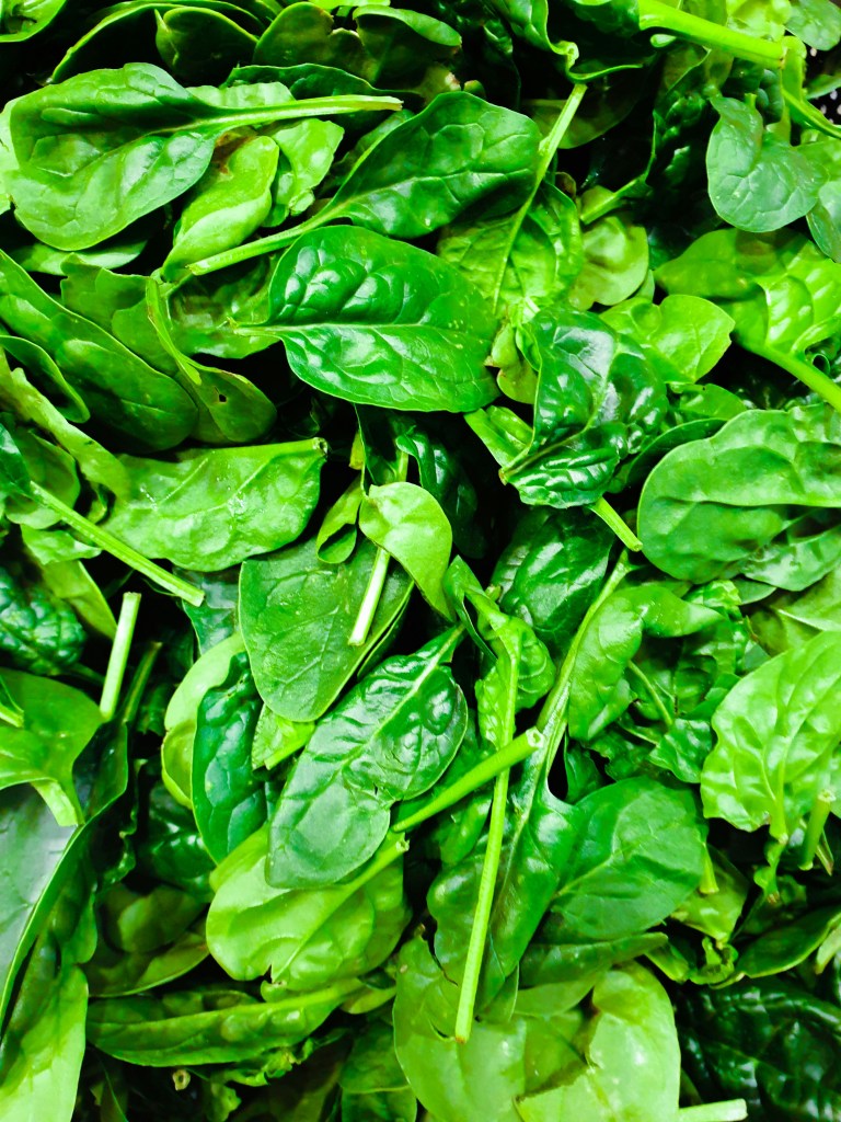 English spinach leaves fresh harvested loose