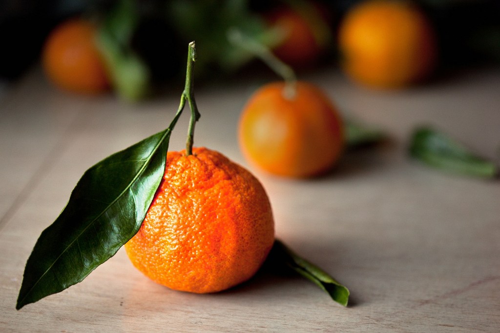 Mandarin single fruit with leaf attached closeup