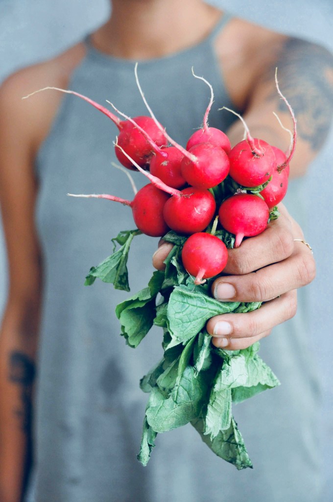 artichoke-multi-flower-heads person holding a bunch of radish with leaves