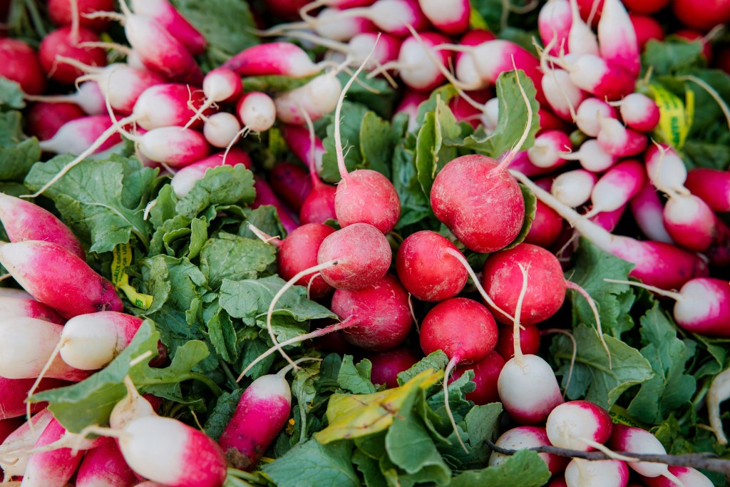 sweet-pea-cut-flowers-pink-purple mixed bunches of radish red, and red and white with leaves attached