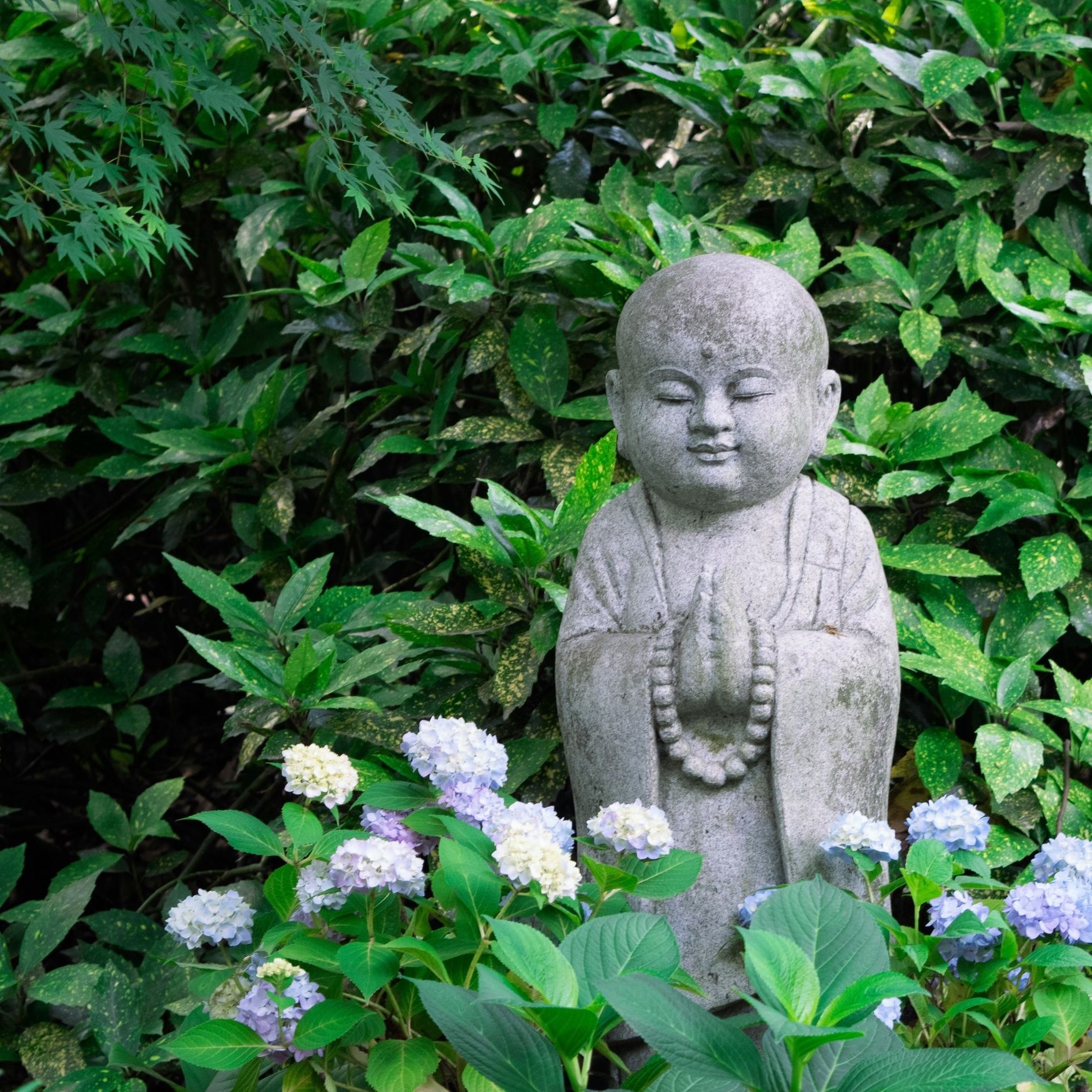 Creating Calm Through Planting Design
