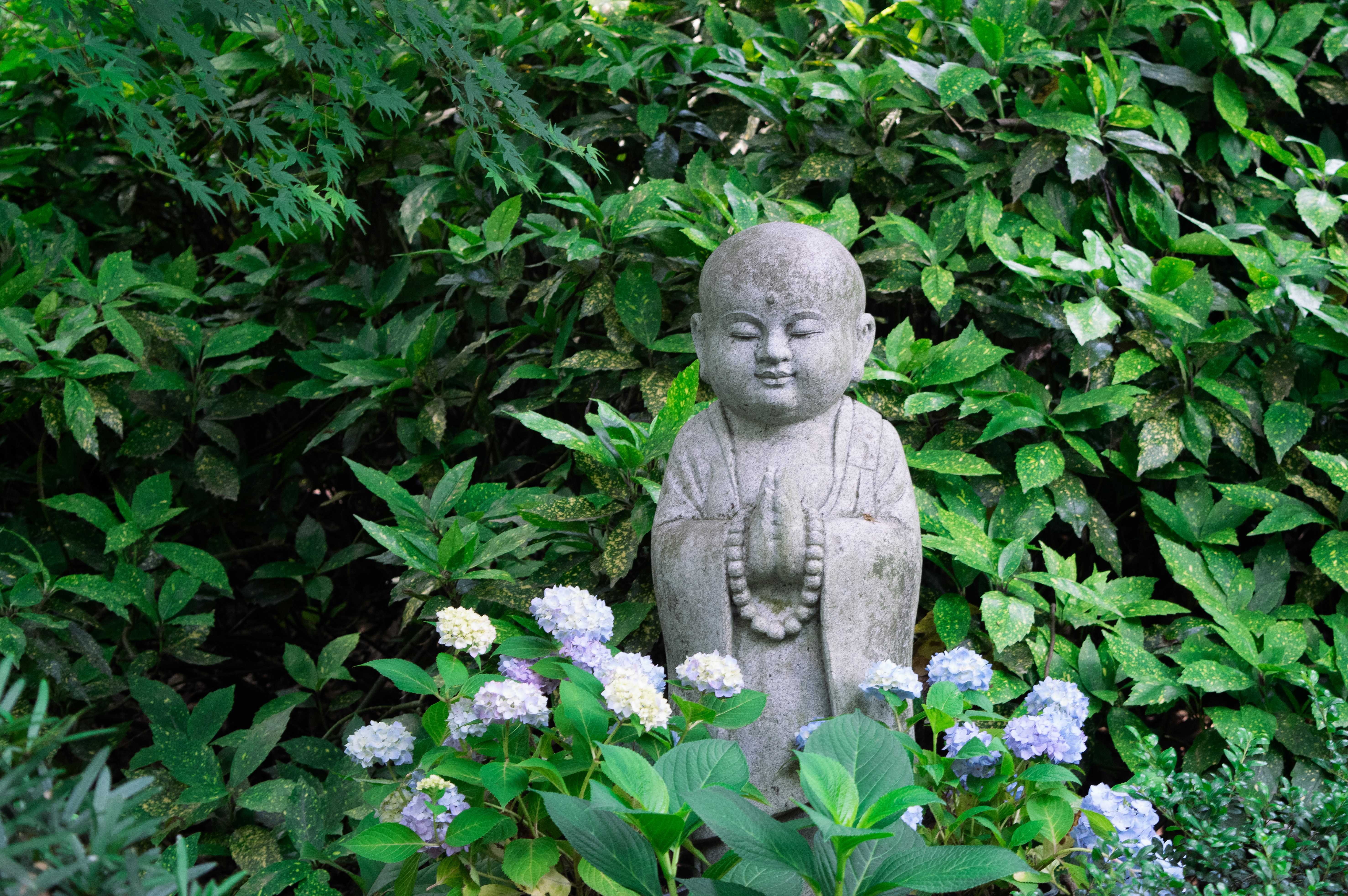 Creating Calm Through Planting Design