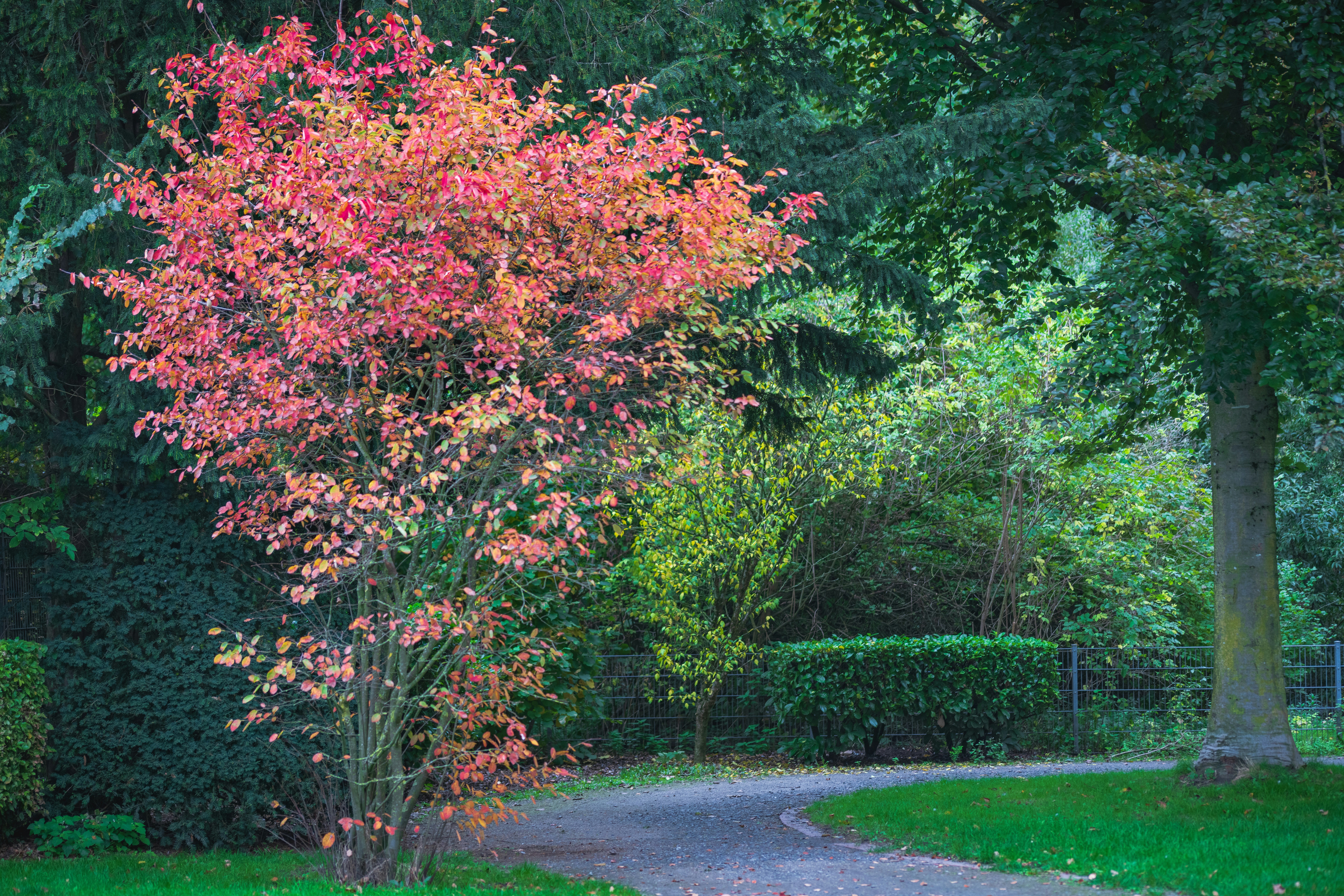 Autumn as a Season of Reflection & Slowing Down